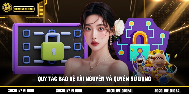 Quy tắc bảo vệ tài nguyên và quyền sử dụng